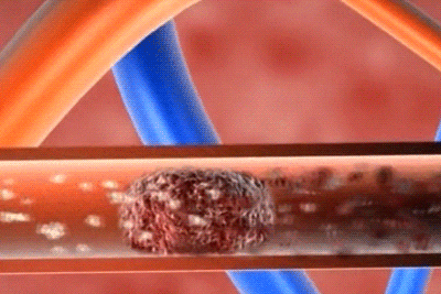 1754706604552657.gif 3755ce16bbc08431cc9bdf793f1908f7.gif