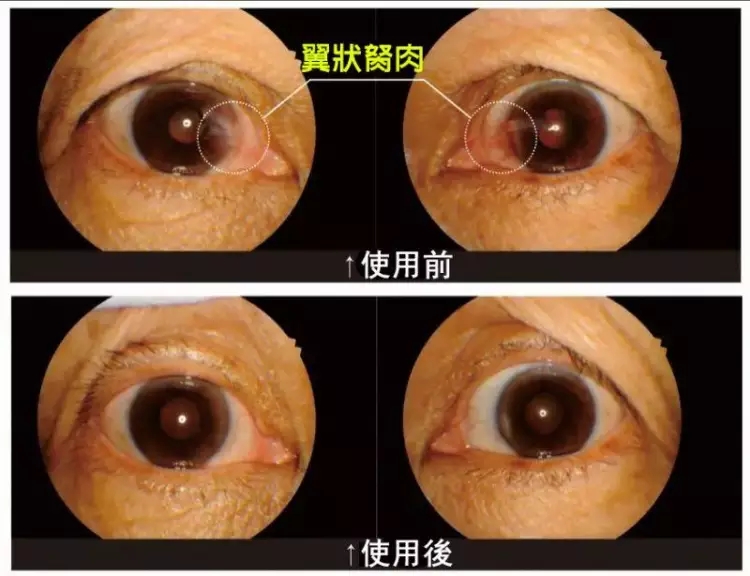 1758010171852006.jpg 18dc9c328cee879c5b1c11034042f719.jpg